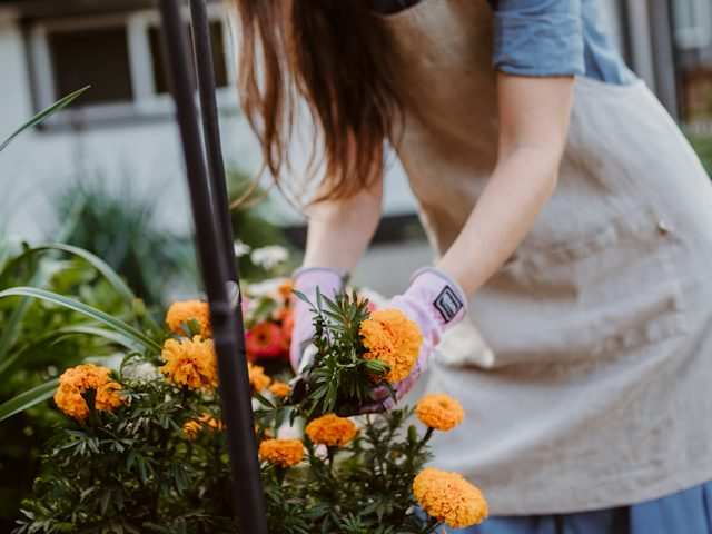Frau mit Schürze bei der Gartenarbeit
